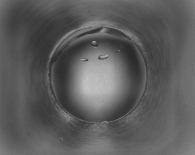 X0000073990912200608211345