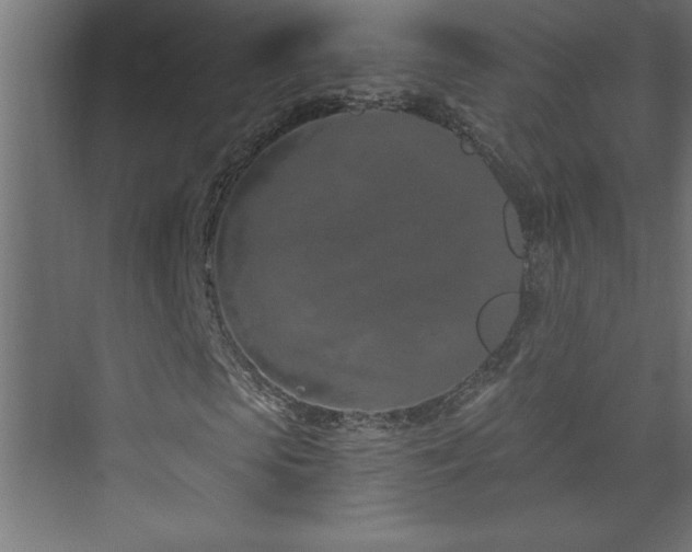 X0000073990913200608211344