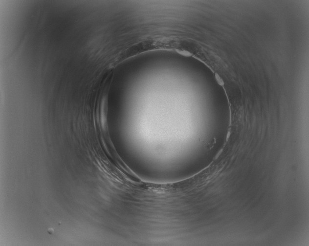 X0000073990914200608211344