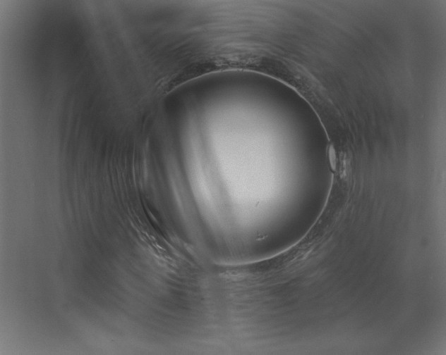 X0000073990915200608211344