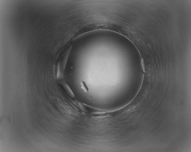 X0000073990916200608211344