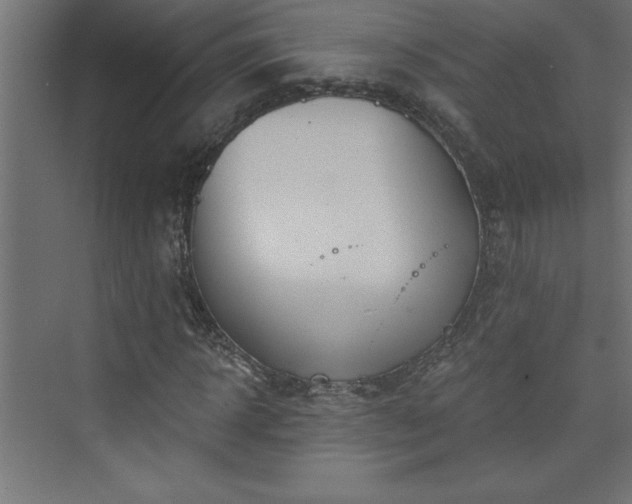 X0000073990918200608211344