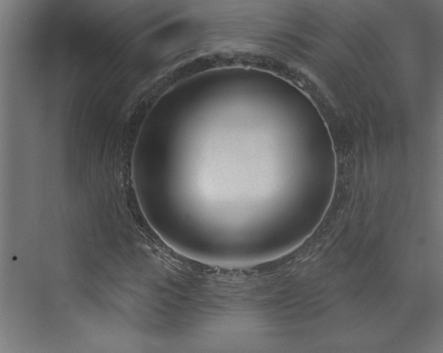 X0000073990919200608211344