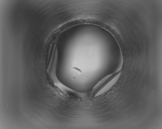 X0000073990920200608211344