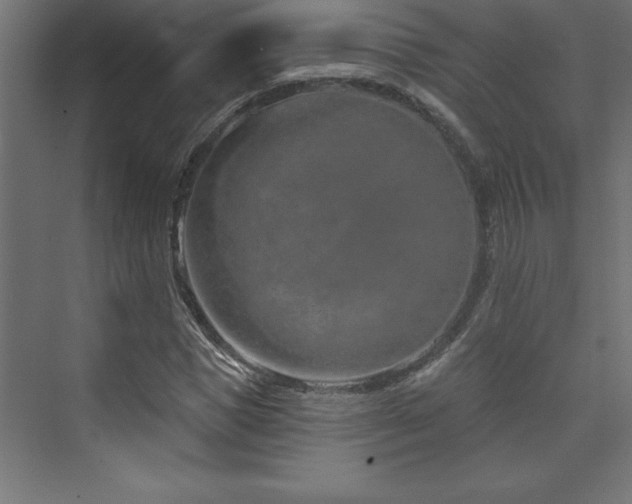 X0000073990921200608211344