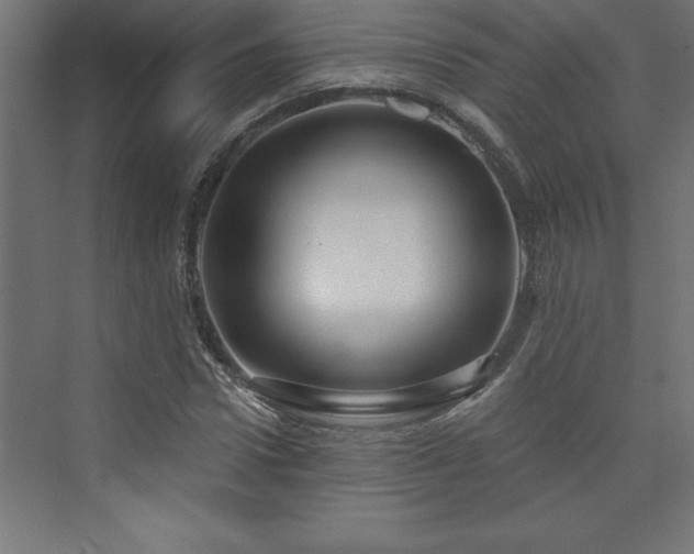 X0000073990922200608211344