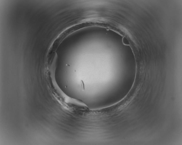 X0000073990923200608211344