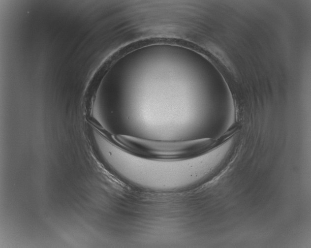 X0000073990926200608211344