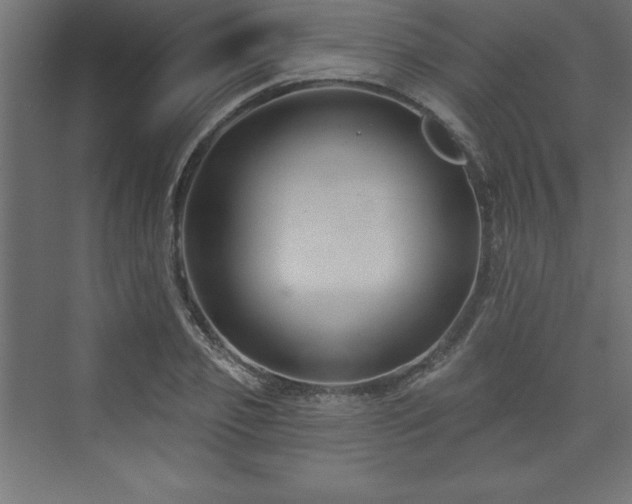 X0000073990933200608211344