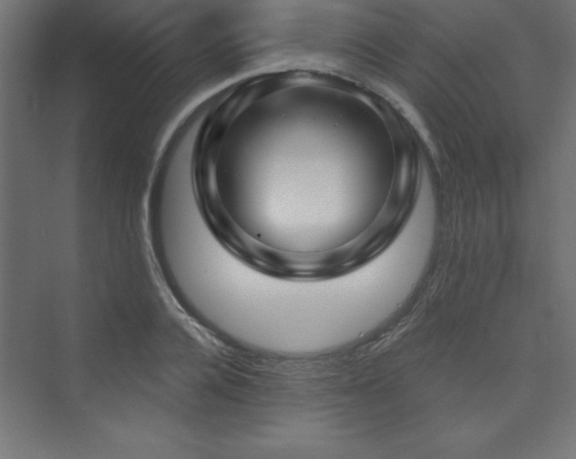 X0000073990936200608211344