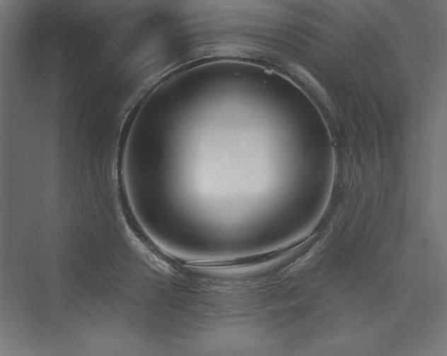 X0000073990938200608211344