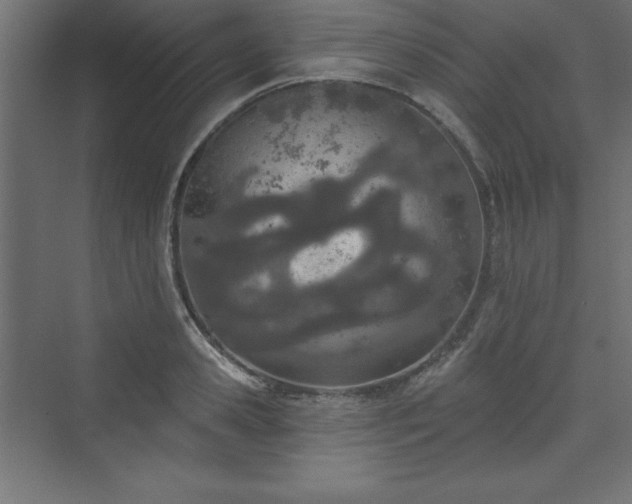 X0000073990941200608211344