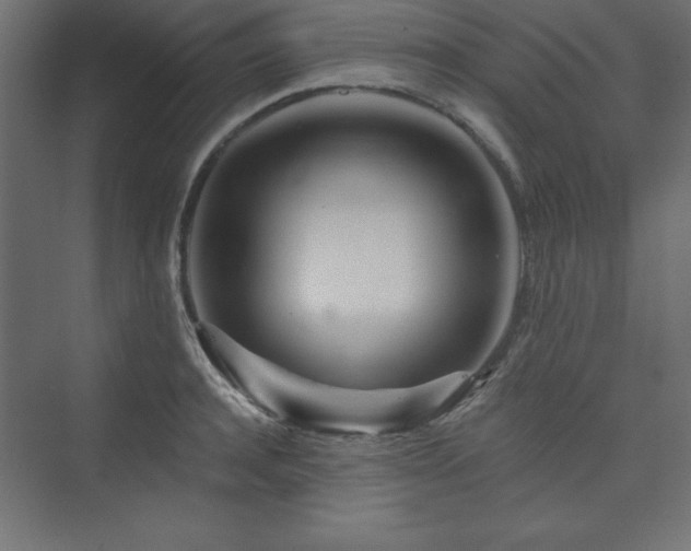 X0000073990944200608211344