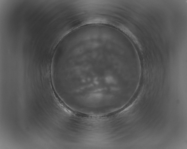 X0000073990945200608211344