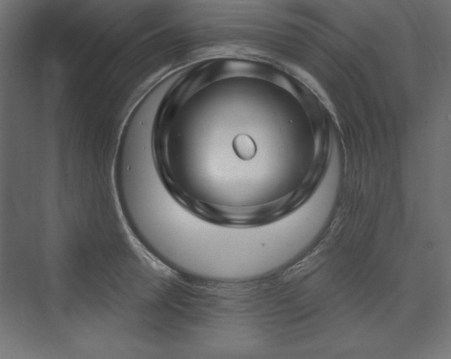 X0000073990946200608211344