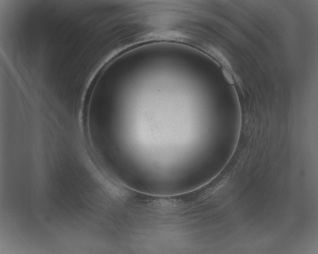 X0000073990947200608211344