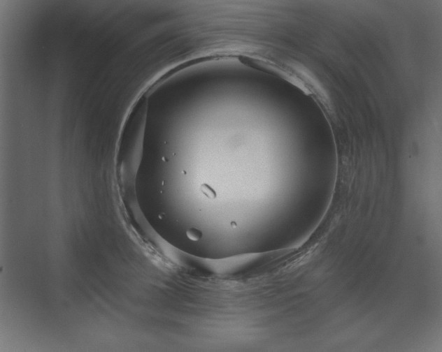 X0000073990948200608211344