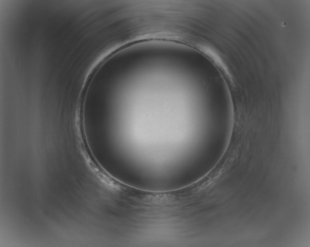 X0000073990952200608211344