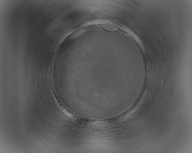 X0000073990953200608211344