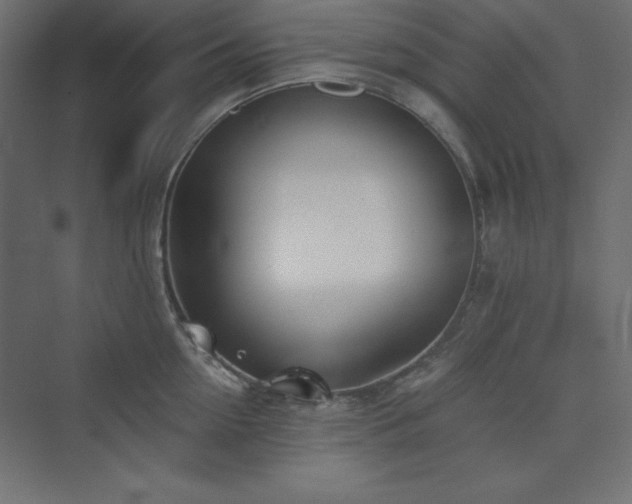 X0000073990954200608211344