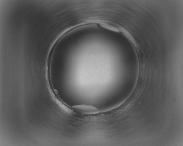 X0000073990955200608211344