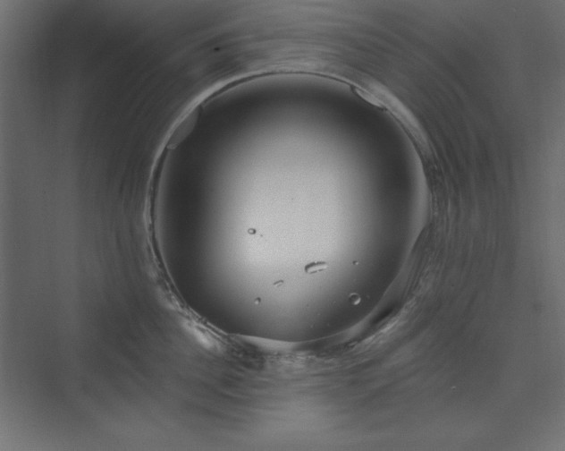 X0000073990956200608211344