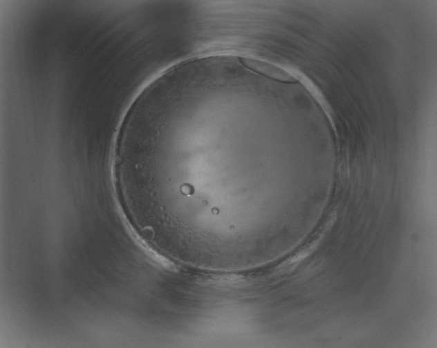 X0000073990957200608211344