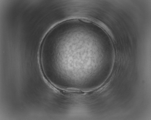 X0000073990958200608211344