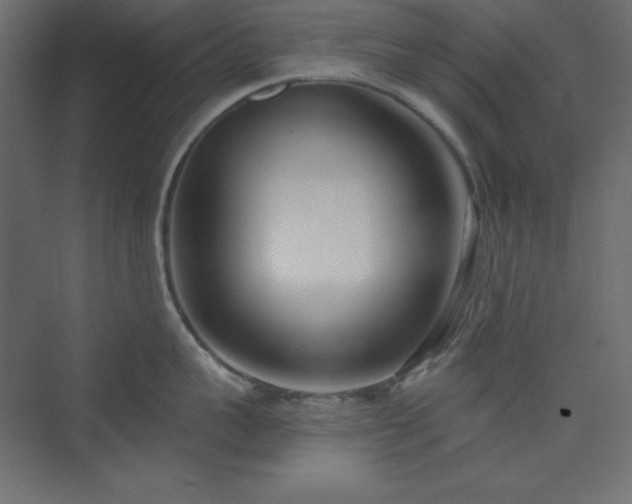 X0000073990959200608211344