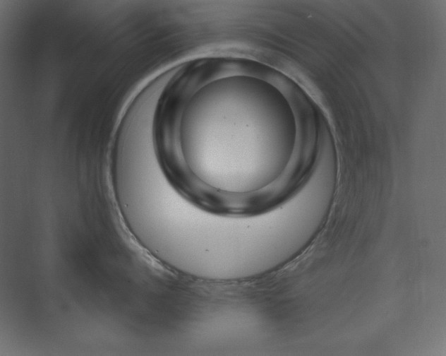 X0000073990960200608211344