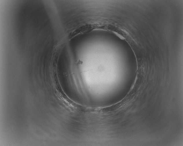 X0000073990961200608211344