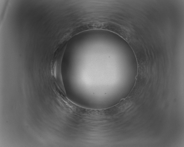 X0000073990962200608211344