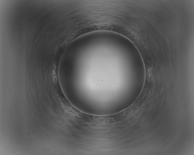 X0000073990963200608211344