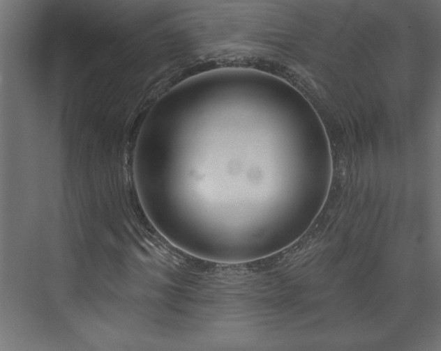 X0000073990964200608211344