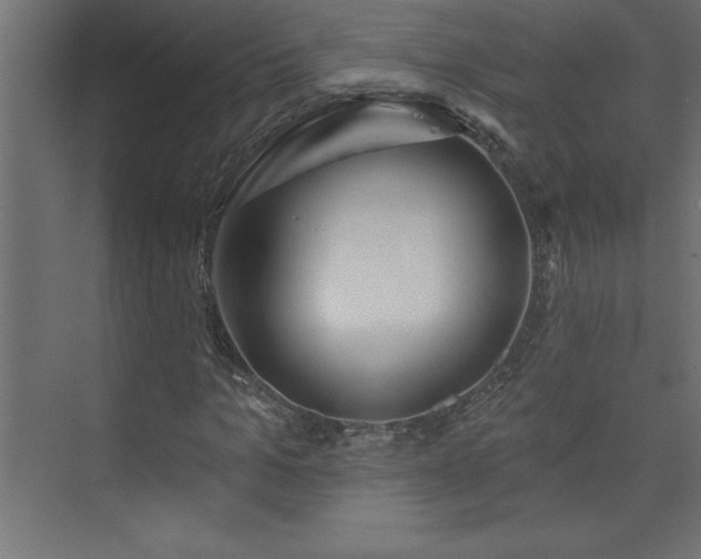 X0000073990965200608211344