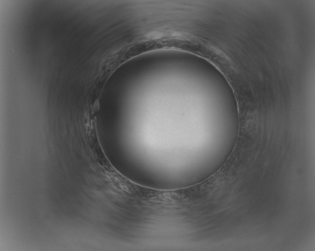 X0000073990966200608211344