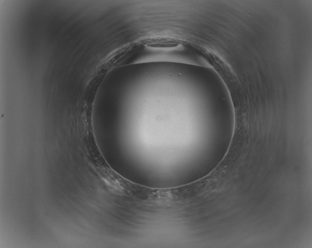 X0000073990968200608211344