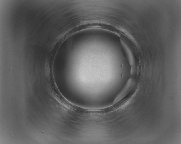 X0000073990969200608211344