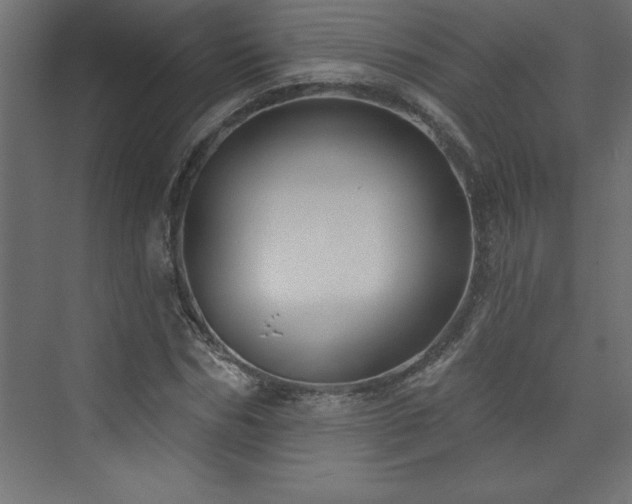 X0000073990970200608211344