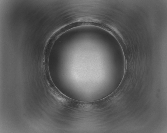 X0000073990971200608211344