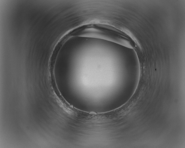 X0000073990972200608211343