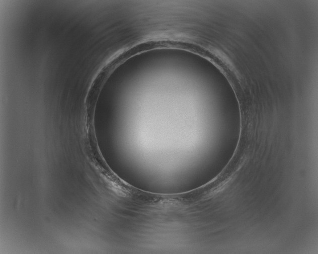 X0000073990974200608211343