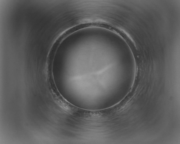 X0000073990975200608211343