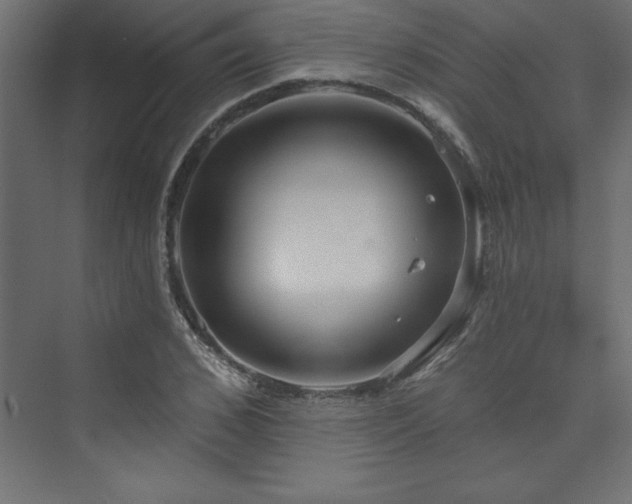 X0000073990976200608211343