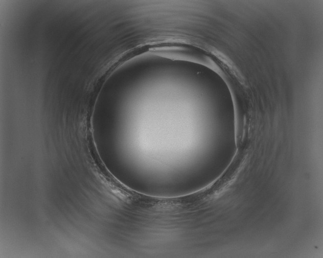 X0000073990977200608211343