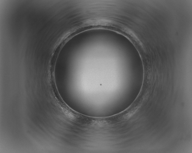 X0000073990978200608211343