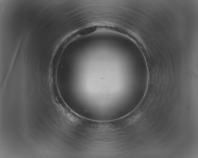 X0000073990979200608211343