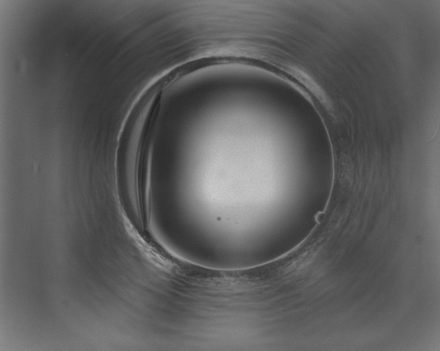 X0000073990980200608211343