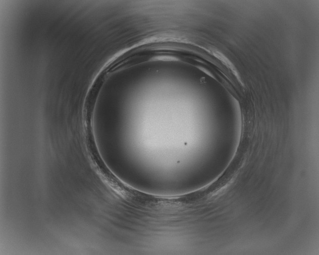 X0000073990981200608211343