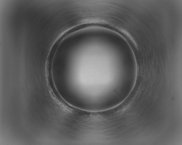 X0000073990983200608211343